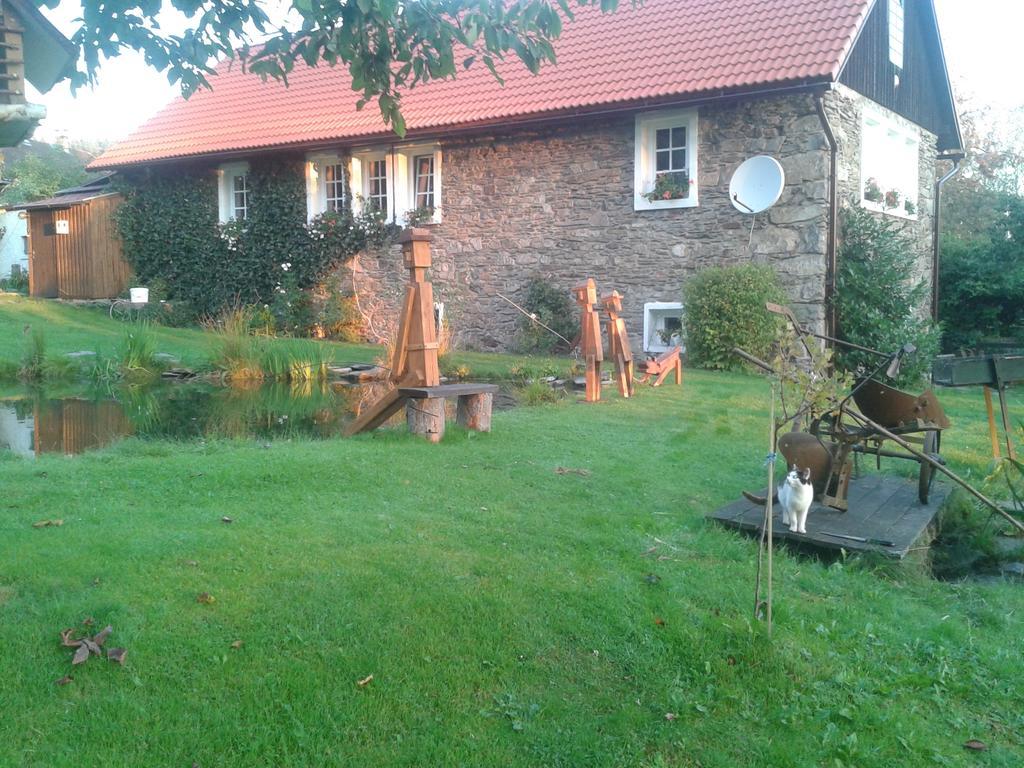 Apartman Dvorecna Loučovice Værelse billede