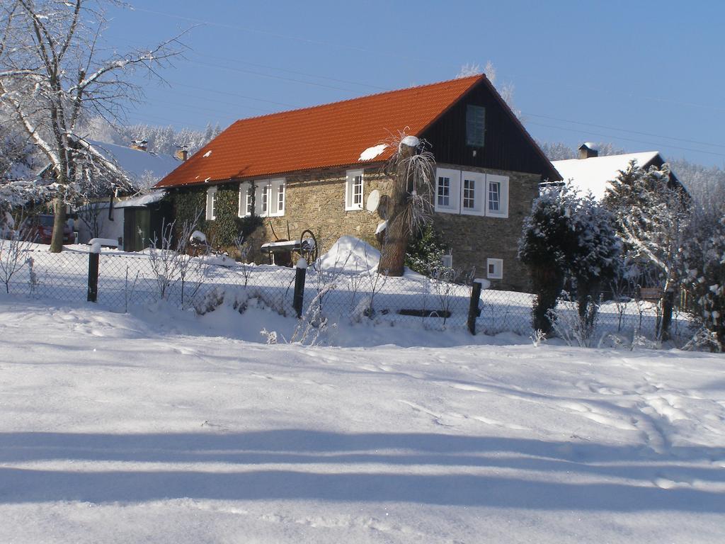 Apartman Dvorecna Loučovice Eksteriør billede