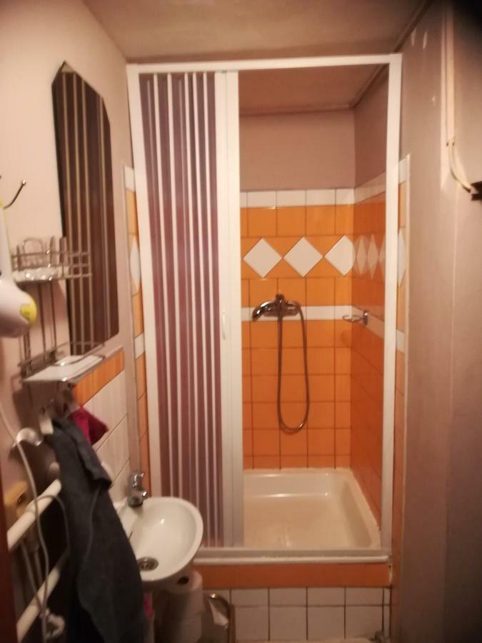 Apartman Dvorecna Loučovice Eksteriør billede